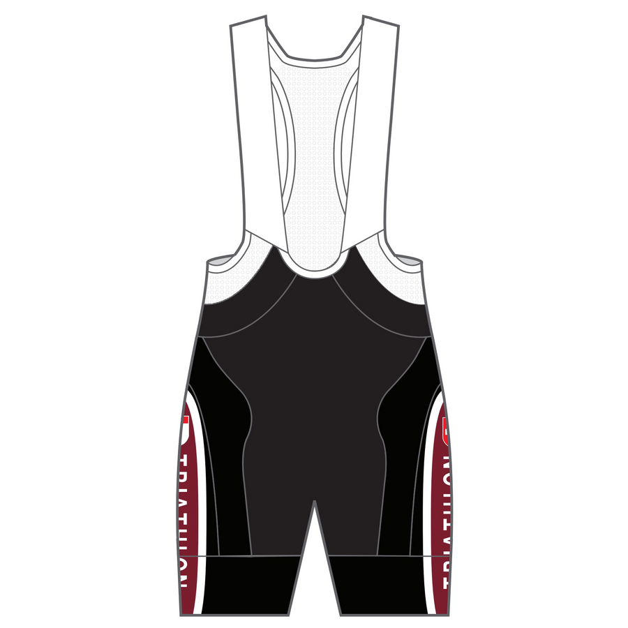 APEX+ Indoor Bib Shorts