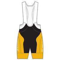 APEX+ Indoor Bib Shorts
