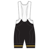 APEX+ Indoor Bib Shorts