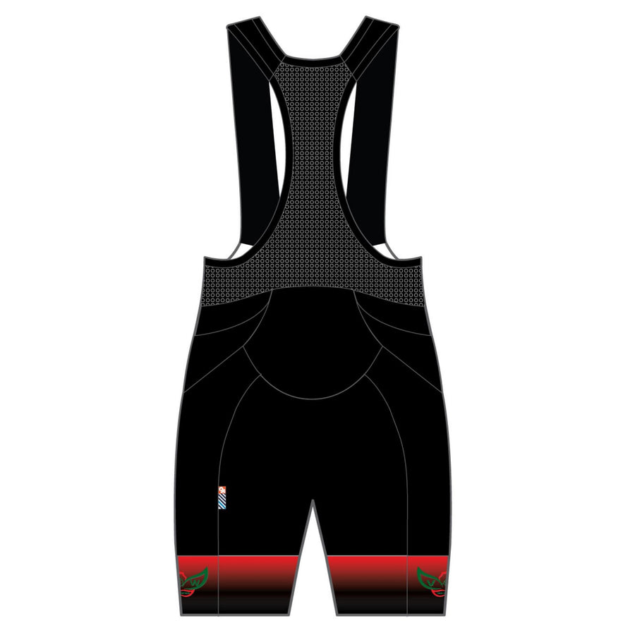 APEX+ Indoor Bib Shorts