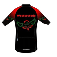 TECH+ Langarm Jersey