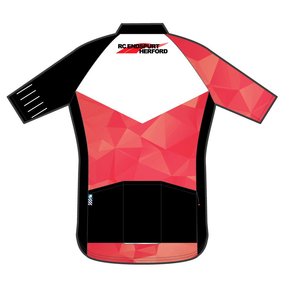 PERFORMANCE+ Jersey – Champion System Germany