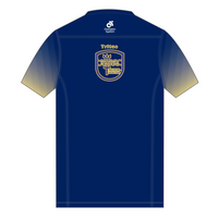 Apex Men's Run Top V-Neck