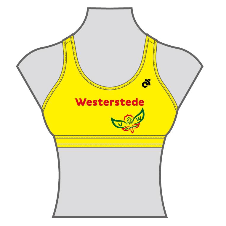 Performance Sports Bra