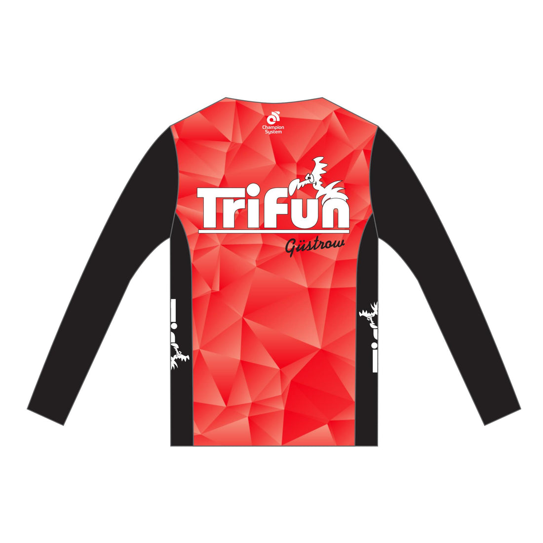PERFORMANCE+ Men's Long Sleeve Run Top