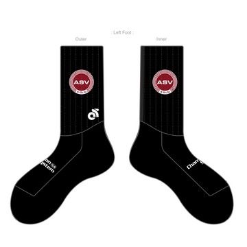 APEX Aero Race Socks