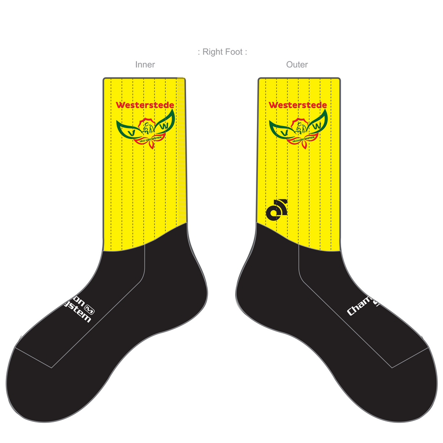 APEX Aero Race Socks