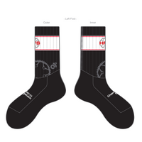 APEX Aero Race Socks