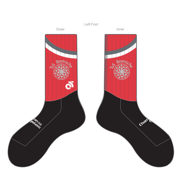 APEX Aero Race Socks